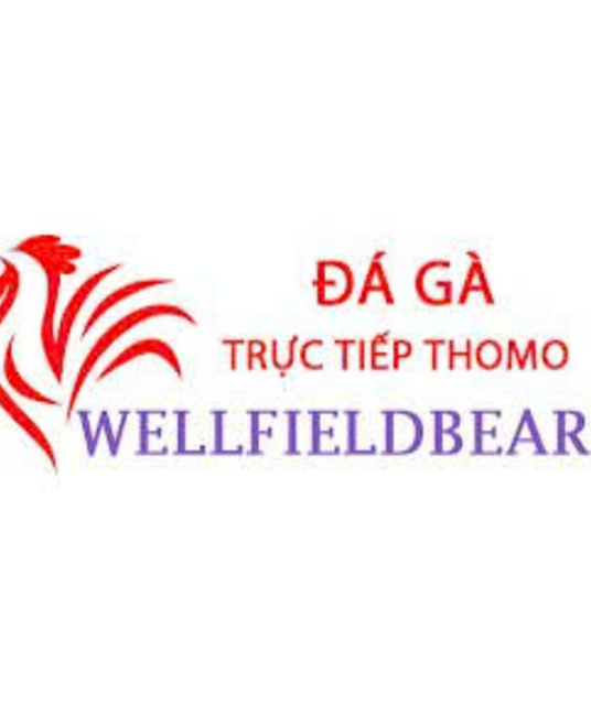 avatar Đá Gà Trực Tiếp Thomo