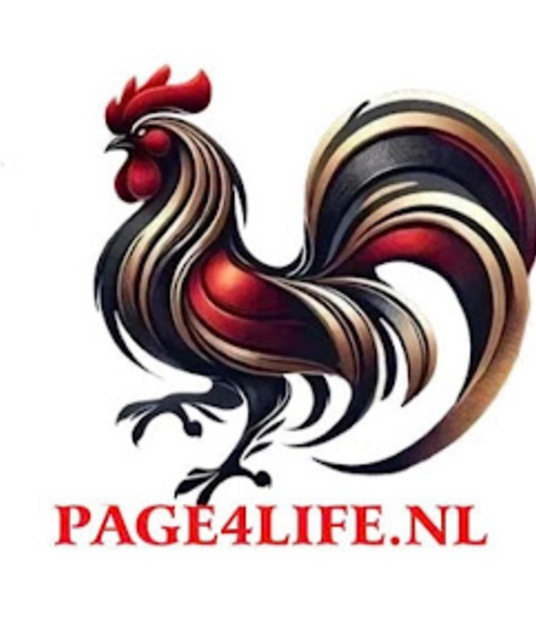 avatar ĐÁ GÀ THOMO PAGE4LIFE