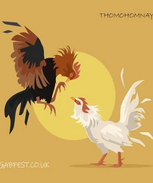 avatar thomohomnaygabfest