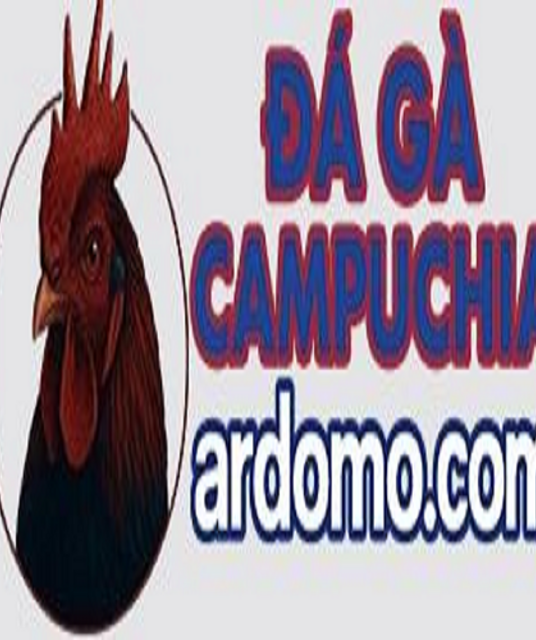 avatar ĐÁ GÀ CAMPUCHIA TRỰC TIẾP TỪ BỒ C1, C2, C3, THOMO