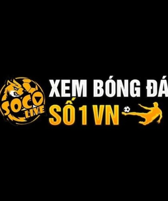 avatar Socolive Today