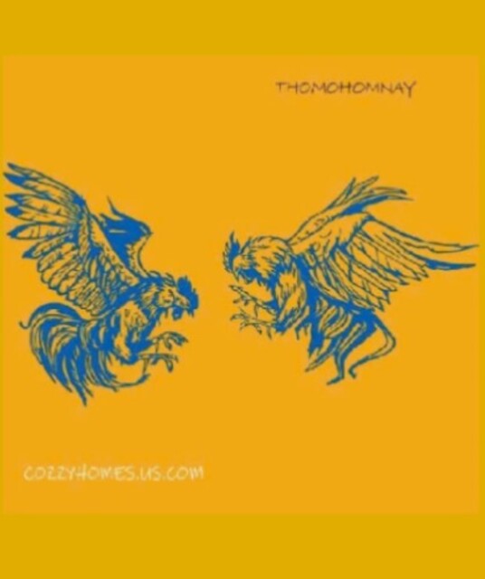 avatar thomohomnayCozzy