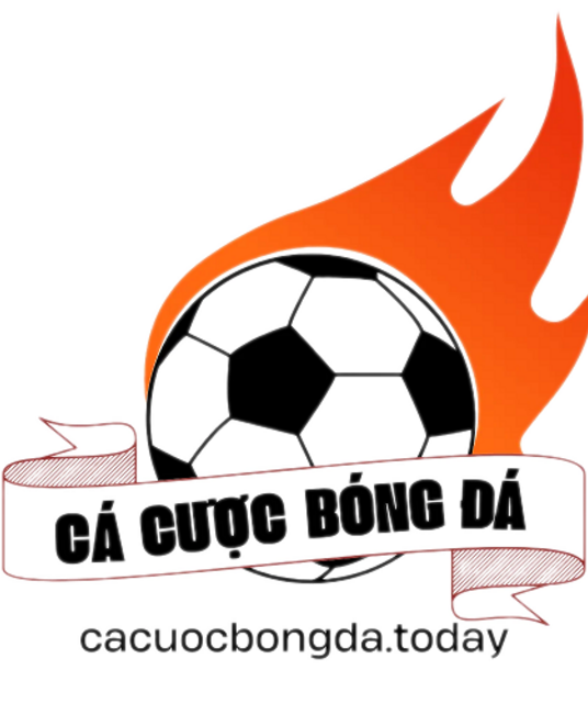 avatar cacuocbongdatoday