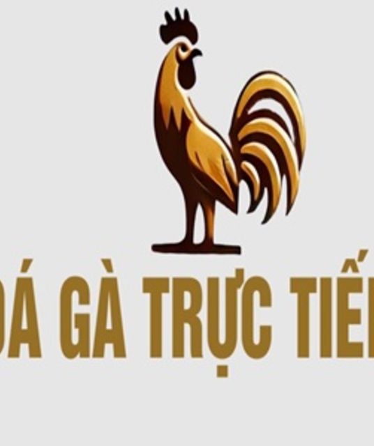avatar ĐÁ GÀ TRỰC TIẾP