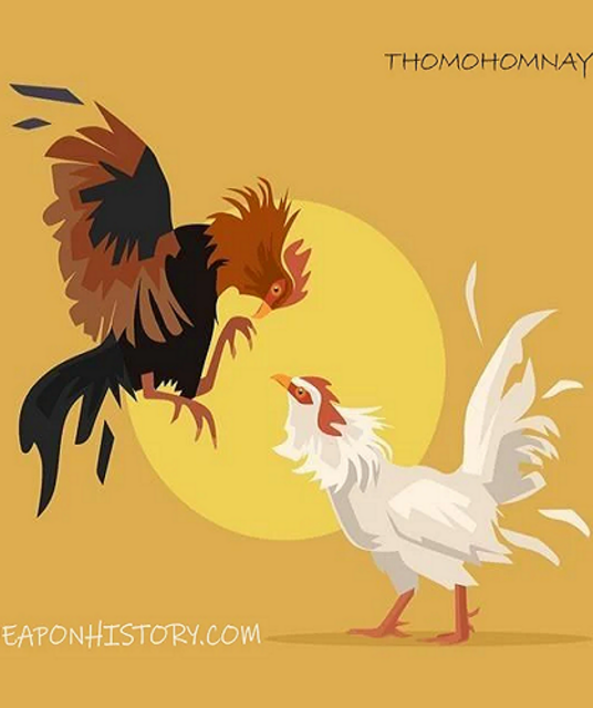 avatar ĐÁ GÀ TRỰC TIẾP WEAP