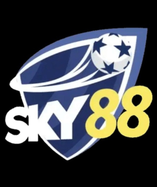 avatar Nhà Cái SKY88