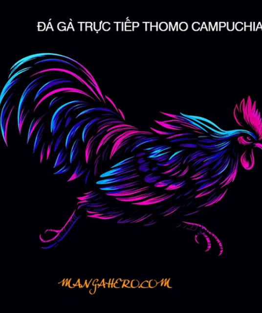 avatar ĐÁ GÀ TRỰC TIẾP THOMO