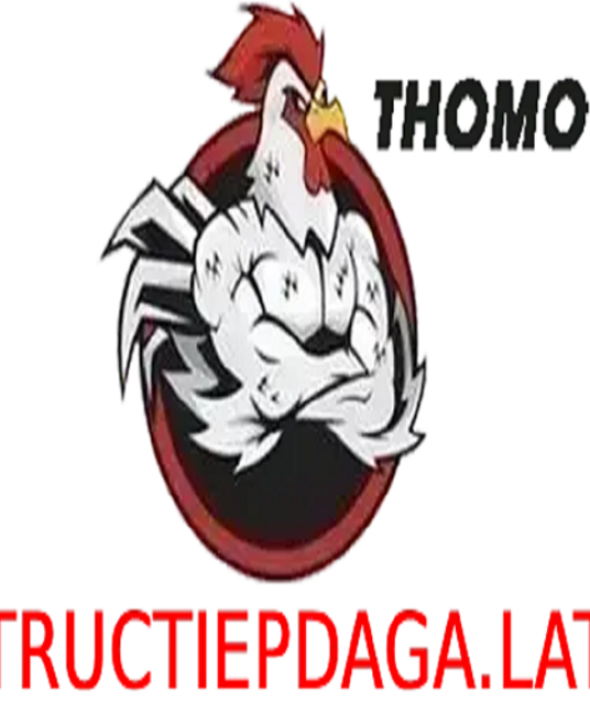 avatar ĐÁ GÀ TRỰC TIẾP