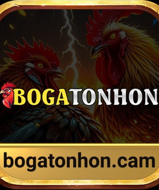 avatar Bồ Gà Tonhon