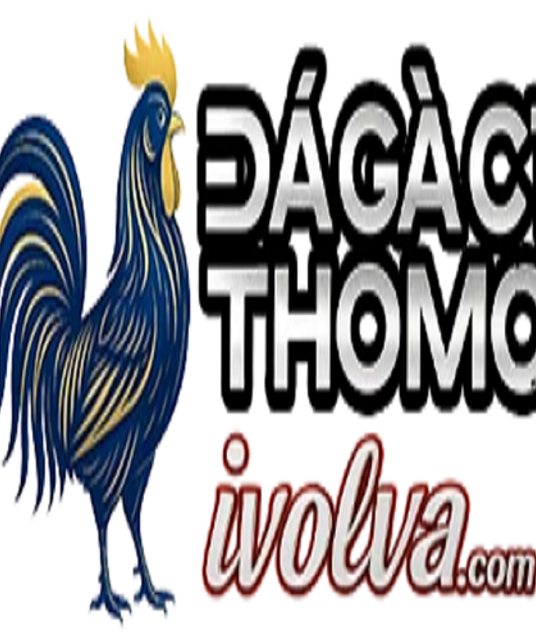 avatar ĐÁ GÀ C1TRỰC TIẾP ĐÁ GÀ  THOMO XEM MIỄN PHÍ