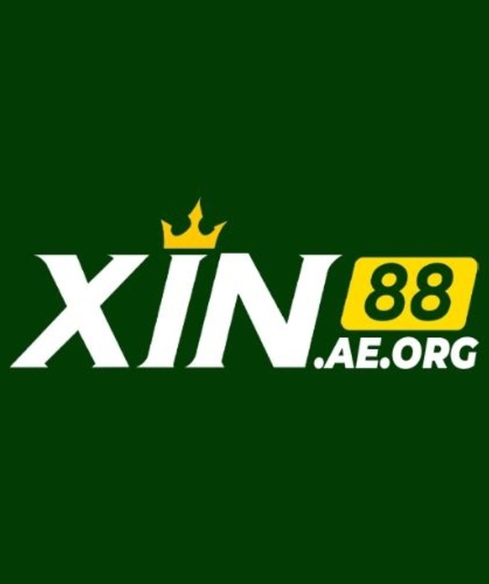 avatar xin88 aeorg