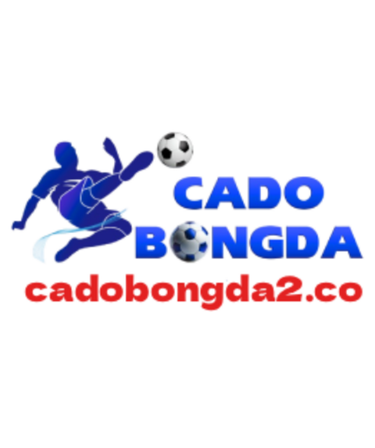 avatar CÁ ĐỘ BÓNG ĐÁ