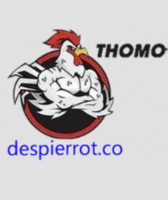 avatar ĐÁ GÀ THOMO TRỰC TIẾP