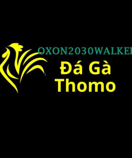avatar Đá Gà Trực Tiếp Thomo