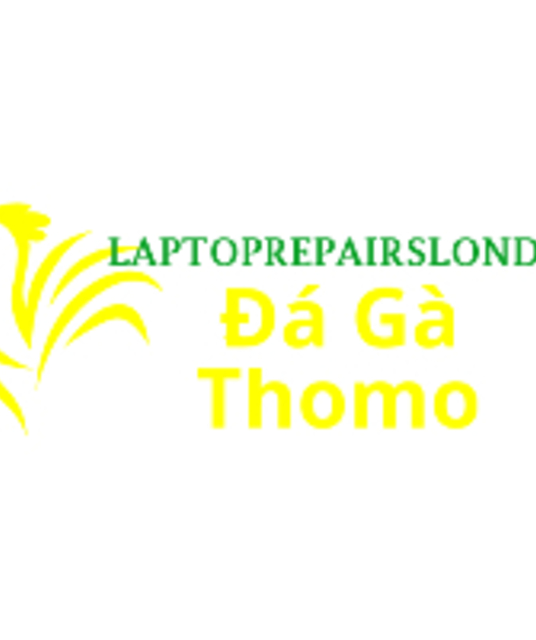 avatar Đá Gà Trực Tiếp Thomo