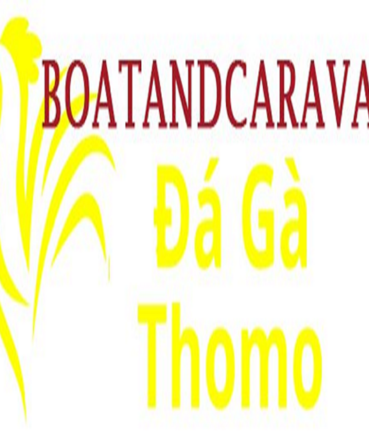 avatar Đá Gà Trực Tiếp Thomo