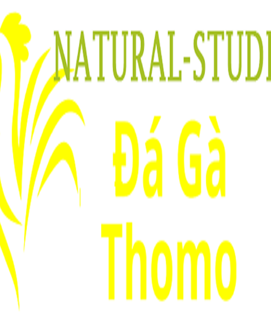 avatar Đá Gà Trực Tiếp Thomo
