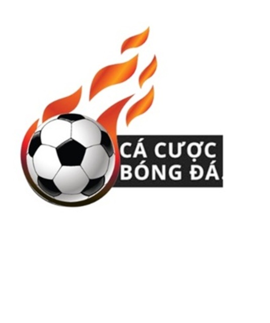 avatar salafoodtechcom