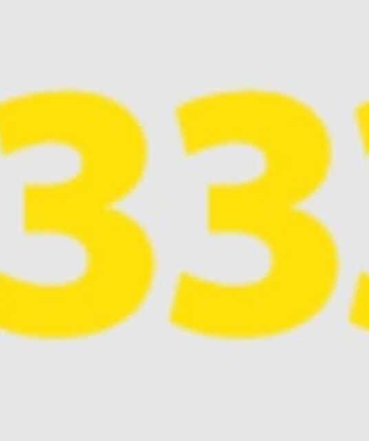 avatar Bet3333 A Plataforma Oficial de Cassino Online no Brasil