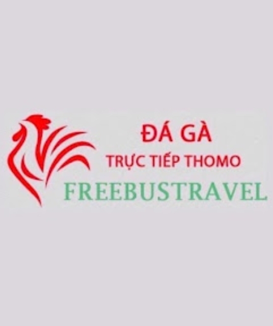 avatar Đá Gà Trực Tiếp Thomo