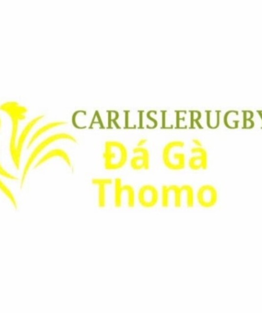 avatar Đá Gà Trực Tiếp Thomo