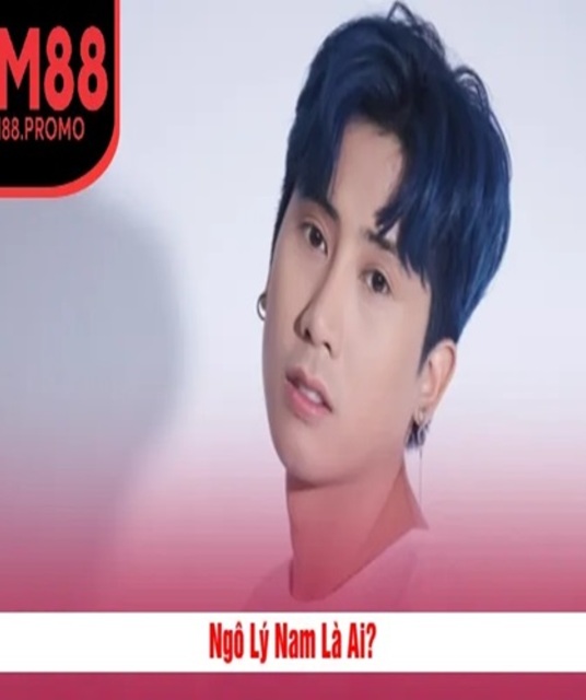 avatar CEO Ngô Lý Nam