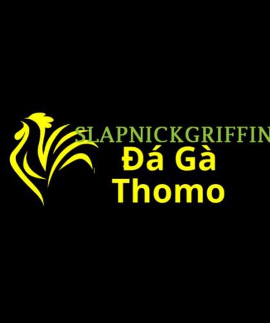 avatar Đá Gà Trực Tiếp Thomo