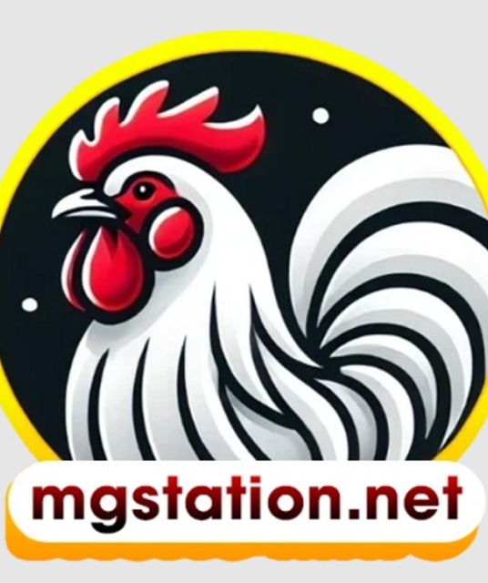 avatar ĐÁ GÀ TRỰC TIẾP