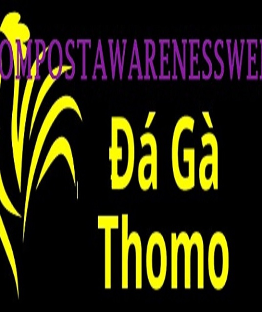 avatar Đá Gà Trực Tiếp Thomo