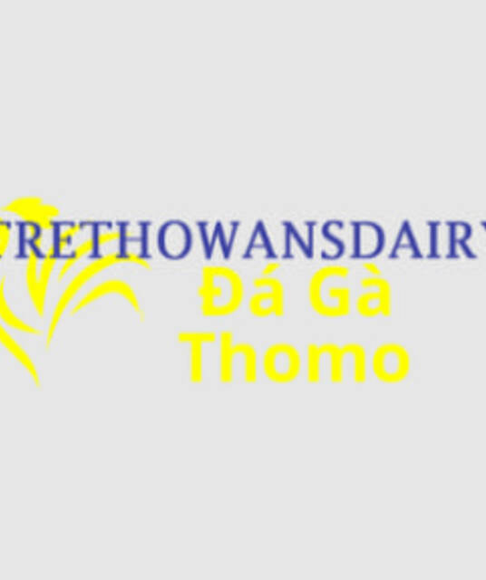 avatar Đá Gà Trực Tiếp Thomo