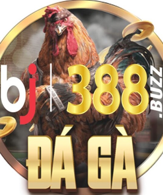 avatar Bj388