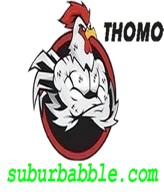 avatar ĐÁ GÀ THOMO