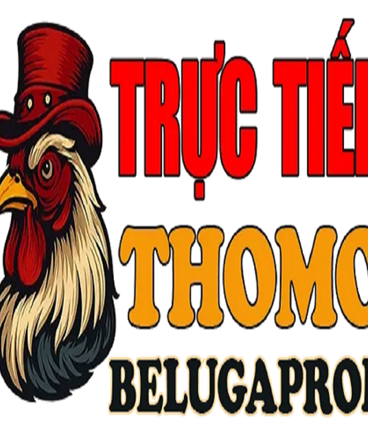 avatar ĐÁ GÀ TRỰC TIẾP THOMO HÔM NAY