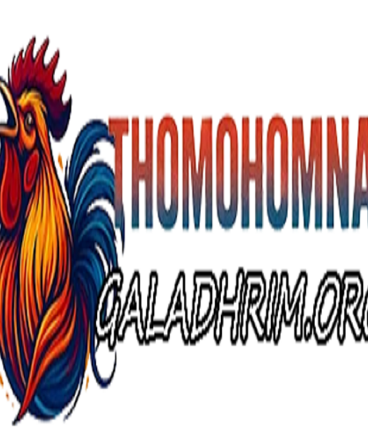 avatar THOMOHOMNAY XEM TRỰC TIẾP ĐÁ GÀ