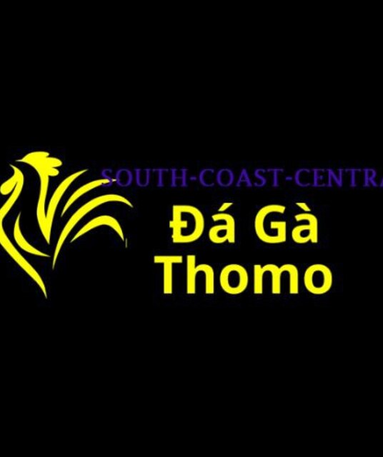 avatar Đá Gà Trực Tiếp Thomo