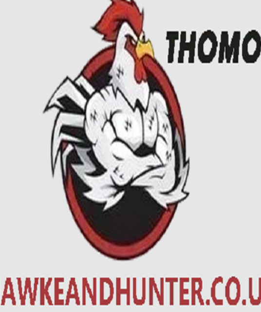 avatar ĐÁ GÀ TRỰC TIẾP THOMO