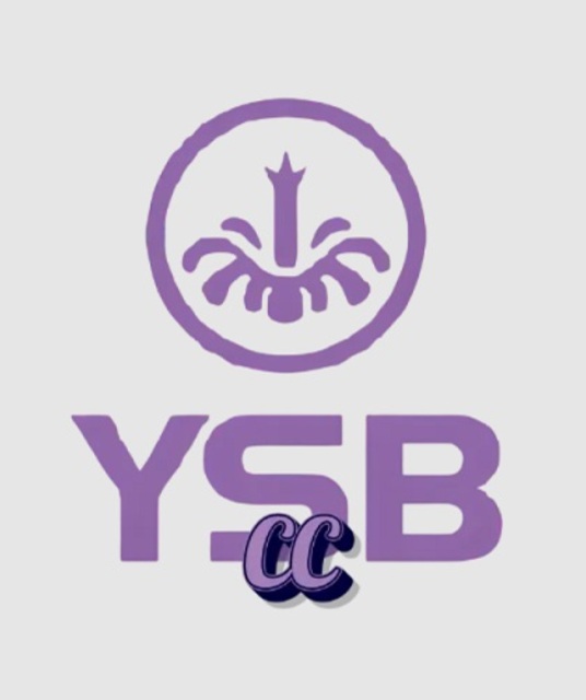 avatar YSB66