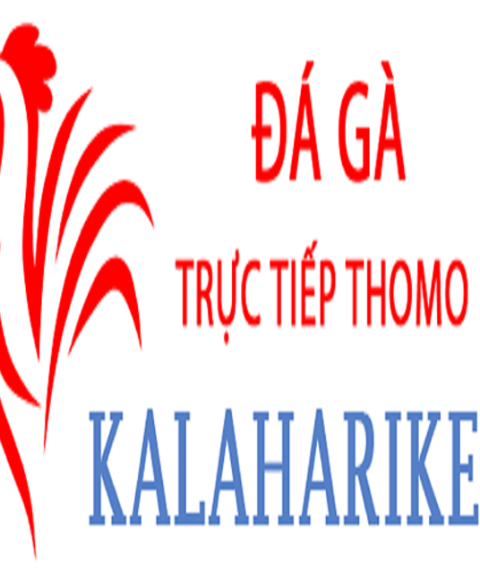 avatar Đá Gà Trực Tiếp Thomo