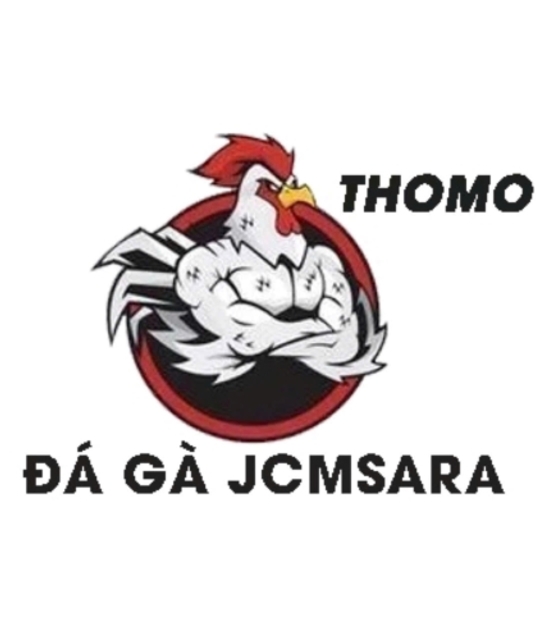 avatar ĐÁ GÀ TRỰC TIẾP THOMO HÔM NAY