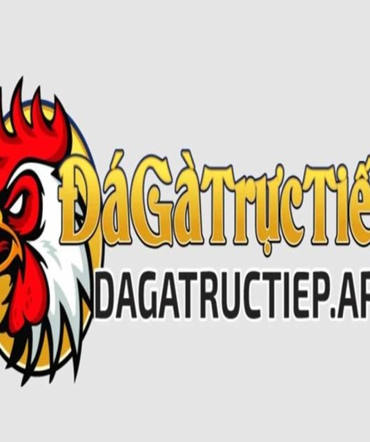 avatar Đá gà trực tiếp - Nền tảng xem đá gà