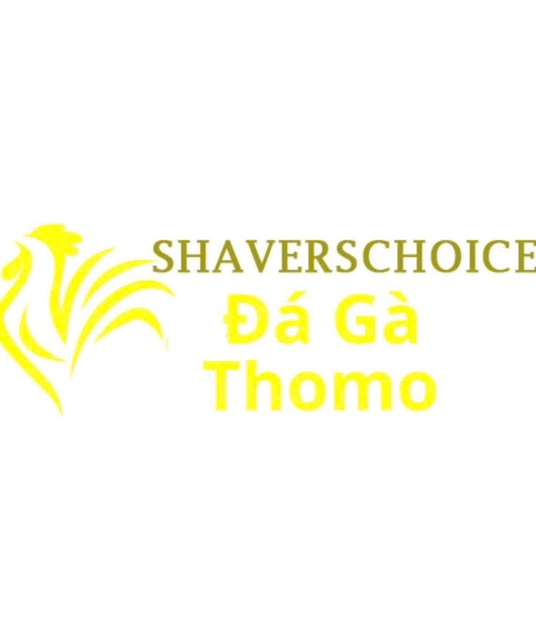avatar Đá Gà Trực Tiếp Thomo