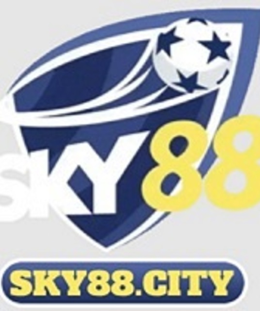 avatar Nhà cái SKY88