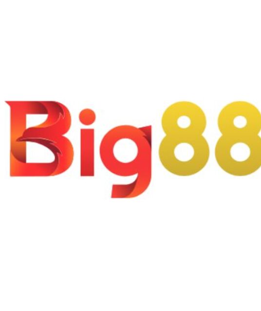 avatar Big88 Nhà cái cá cược