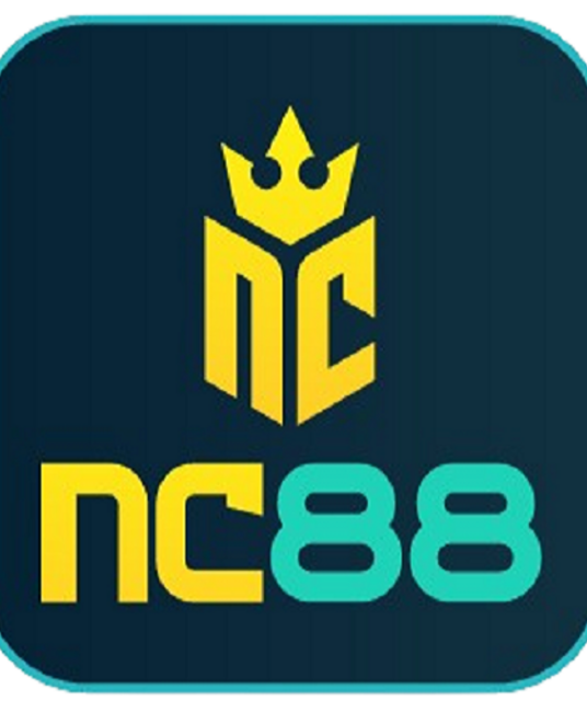 avatar NC88  cfd
