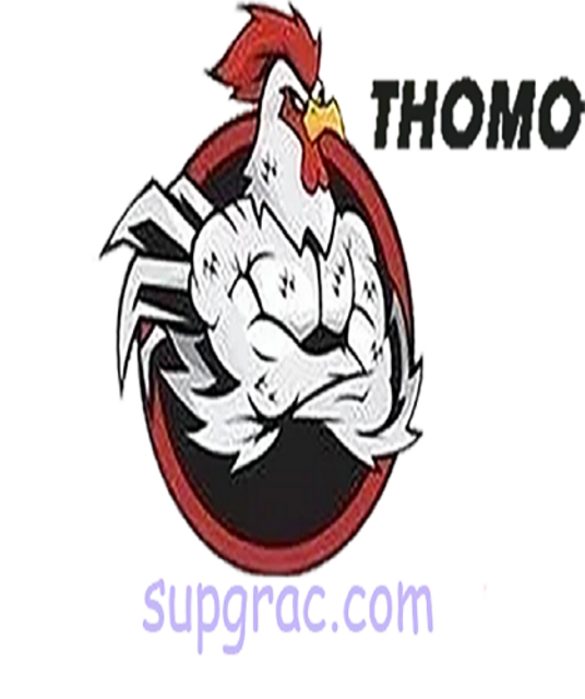 avatar ĐÁ GÀ TRỰC TIẾP THOMO