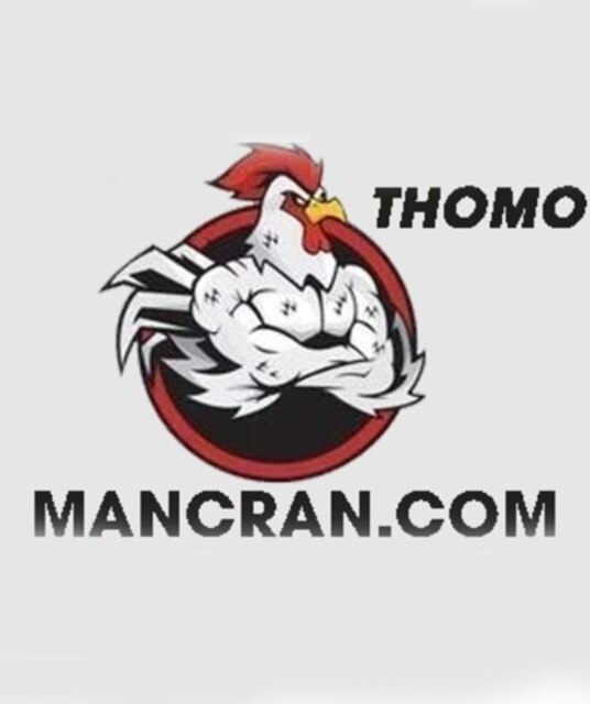 avatar ĐÁ GÀ TRỰC TIẾP VIN