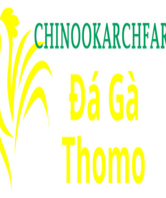 avatar Đá Gà Trực Tiếp Thomo