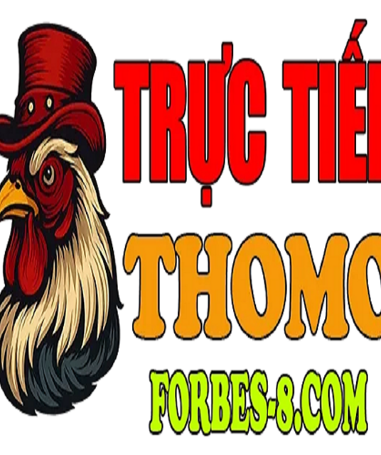 avatar ĐÁ GÀ TRỰC TIẾP THOMO HÔM NAY