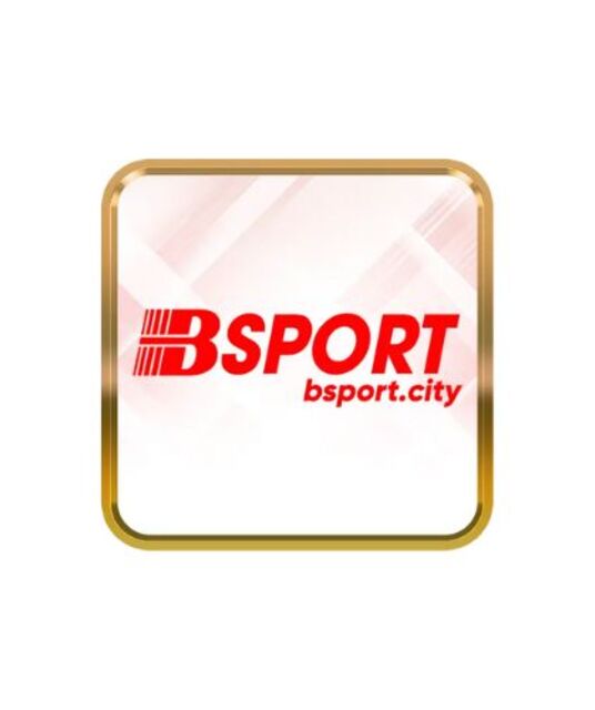avatar Bsport