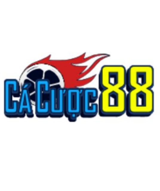 avatar Trang cá độ bóng đá